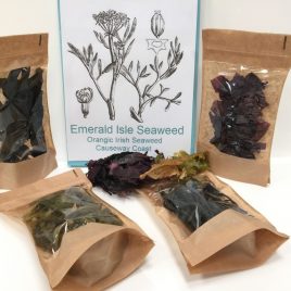 Organic Seaweed Mix, Dulse, Sweet kelp, Sea Spaghetti, Irish Wakame, Carrageen moss