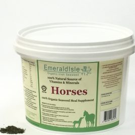 seaweed horse meal