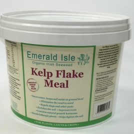 kelp seaweed meal